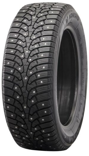245/45R19 102Q NANKANG SW-9 XL